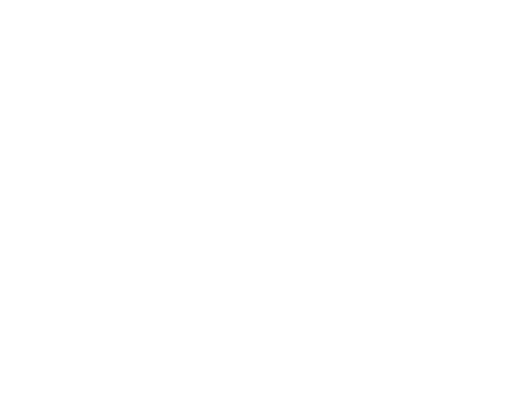 Elite Shades